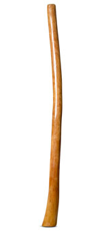 Gloss Finish Didgeridoo (TW1166)